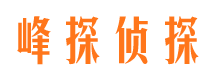 云梦市婚外情调查